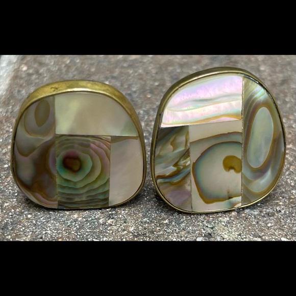 unknown Accessories - Abalone vintage clip earrings